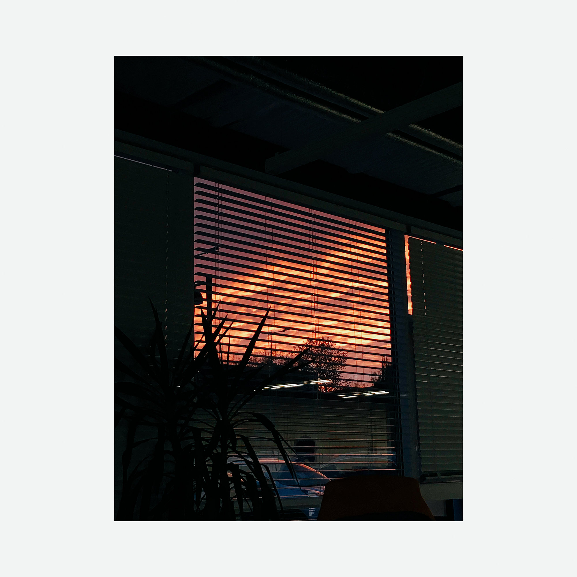 Random Moments - Fujifilm X-T2, photo 6